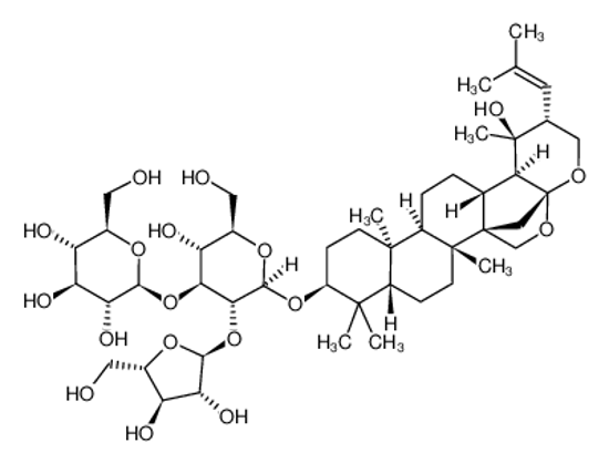 Picture of BACOPASIDE II(P)