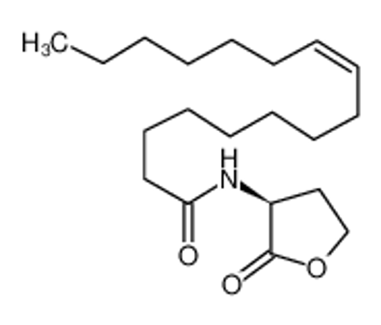 Picture of homoserine lactone