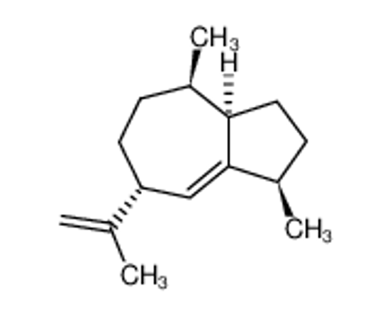 Picture of (+)-γ-GURJUNENE