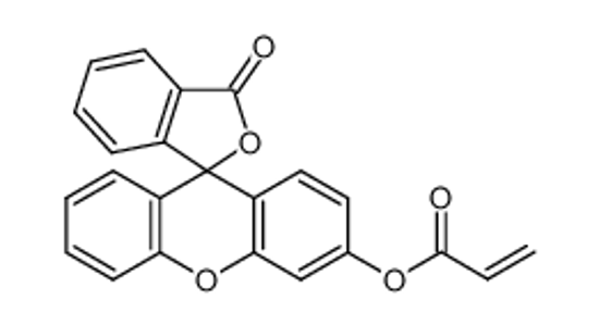 Picture of (6'-hydroxy-3-oxospiro[2-benzofuran-1,9'-xanthene]-3'-yl) prop-2-enoate