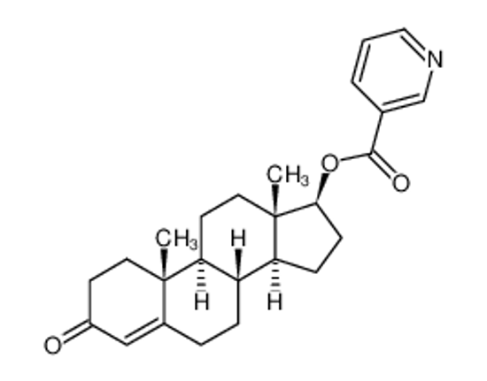 Imagem de 17-β-hydroxyandrost-4-en-3-one nicotinate