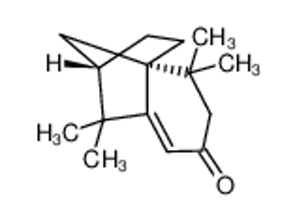 Picture of (-)-Isolongifolen-9-one