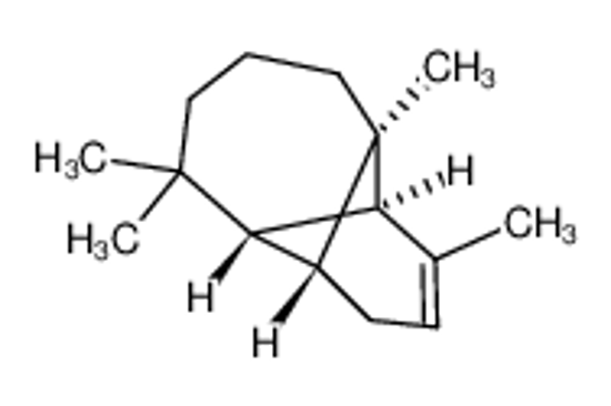 Picture of α-longipinene