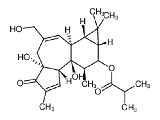 Imagem de 12-DEOXYPHORBOL 13-ISOBUTYRATE