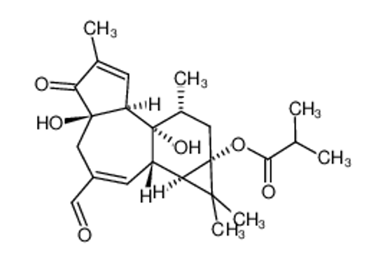 Picture of 20-OXO-12,20-DIDEOXYPHORBOL 13-ISOBUTYRATE