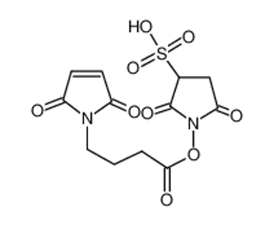 Изображение SULFO-N-SUCCINIMIDYL 4-MALEIMIDO-