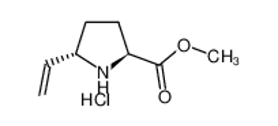 Picture of 5-ETHENYL-L-PROLINE METHYL ESTER HYDROCHLORIDE