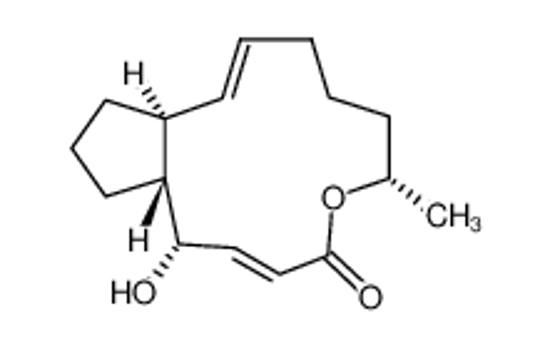 Picture of (1S,2Z,7S,10Z,12R,13R)-12-hydroxy-7-methyl-8-oxabicyclo[11.3.0]hexadeca-2,10-dien-9-one
