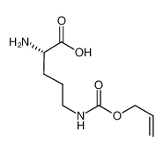 Picture of (2S)-2-amino-5-(prop-2-enoxycarbonylamino)pentanoic acid