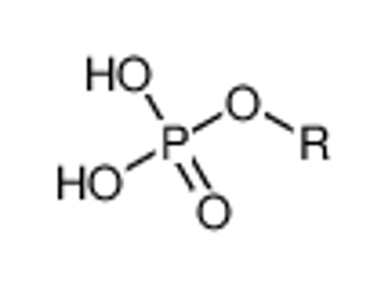 Picture of Isooctanol, dihydrogen phosphate