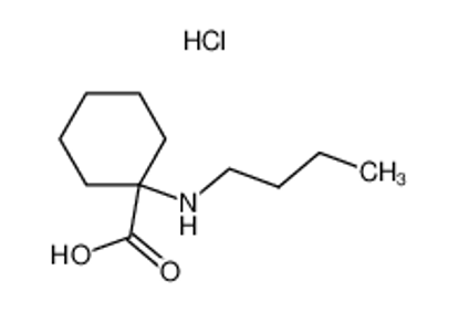 Show details for 1-BUTYLAMINO-CYCLOHEXANECARBOXYLIC ACID HYDROCHLORIDE