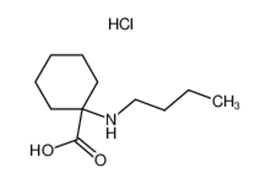 Imagem de 1-BUTYLAMINO-CYCLOHEXANECARBOXYLIC ACID HYDROCHLORIDE