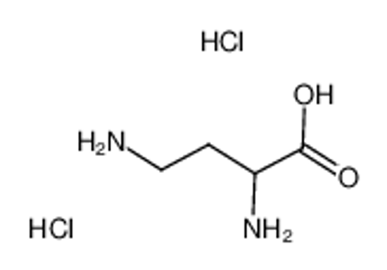 Picture of (2R)-2,4-diaminobutanoic acid,dihydrochloride