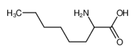 Picture of 2-aminooctanoic acid