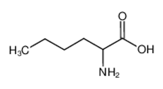Picture of 2-aminohexanoic acid