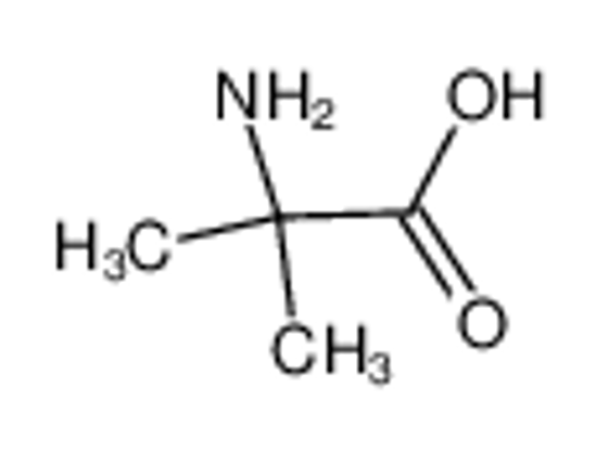 Picture of 2-aminoisobutyric acid