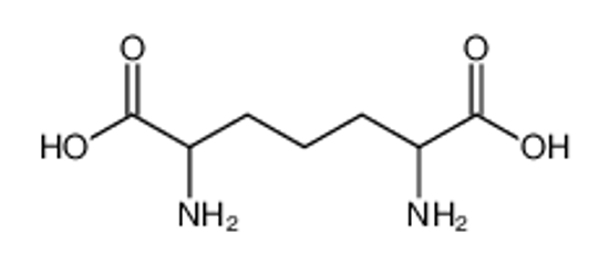 Picture of 2,6-diaminopimelic acid
