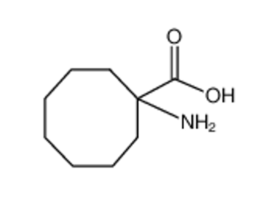 Imagem de 1-aminocyclooctane-1-carboxylic acid