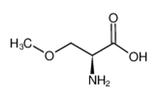 Picture of (2S)-2-amino-3-methoxypropanoic acid