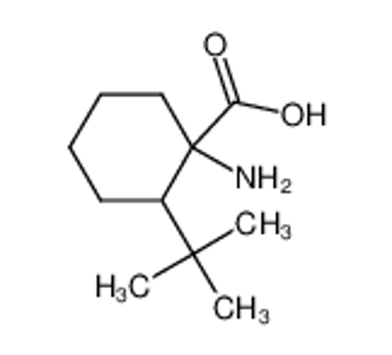 Imagem de 1-amino-2-tert-butylcyclohexane-1-carboxylic acid
