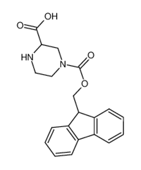 Picture of 4-(9H-fluoren-9-ylmethoxycarbonyl)piperazine-2-carboxylic acid