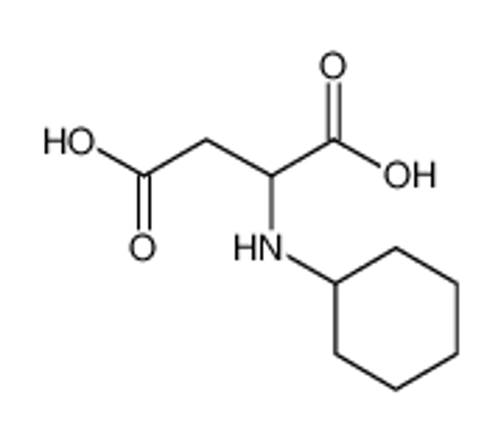 Picture of (2S)-2-(cyclohexylamino)butanedioic acid