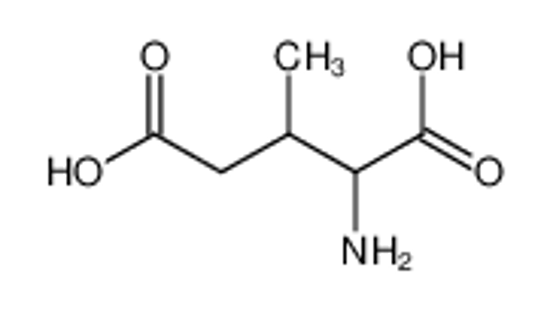 Imagem de (+/-)-threo-3-Methylglutamic Acid