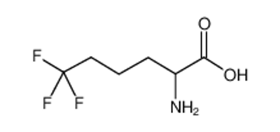 Picture of 2-amino-6,6,6-trifluorohexanoic acid