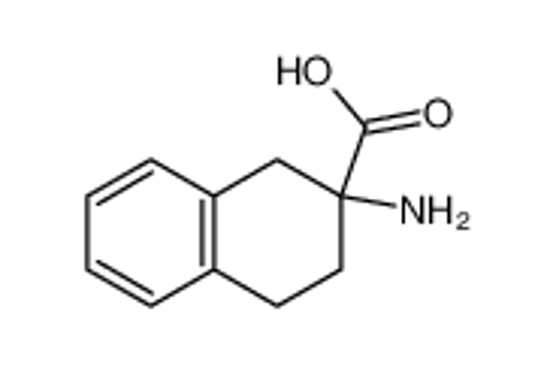 Picture of 2-Aminotetralin-2-carboxylic Acid