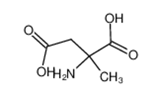 Picture of 2-amino-2-methylbutanedioic acid