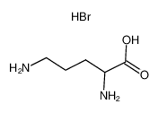 Imagem de DL-ORNITHINE HYDROBROMIDE