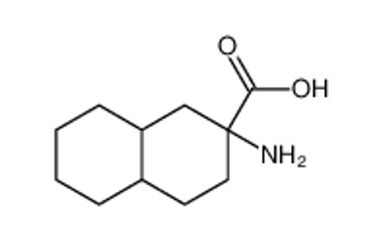 Изображение 2-amino-3,4,4a,5,6,7,8,8a-octahydro-1H-naphthalene-2-carboxylic acid