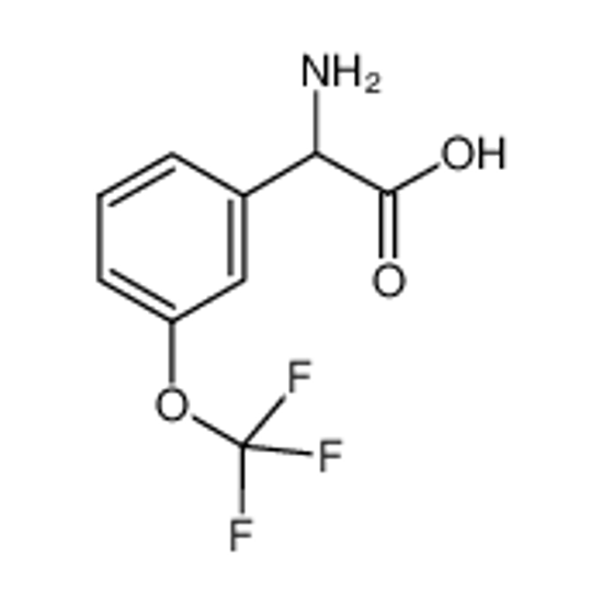Picture of 2-amino-2-[3-(trifluoromethoxy)phenyl]acetic acid