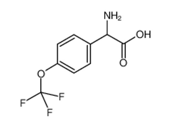 Picture of 2-amino-2-[4-(trifluoromethoxy)phenyl]acetic acid