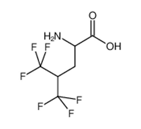 Imagem de HEXAFLUOROLEUCINE