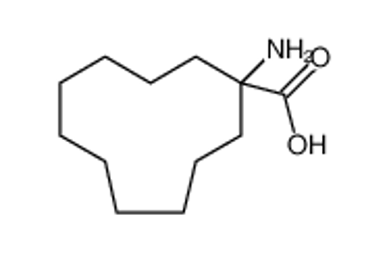 Изображение 1-aminocycloundecane-1-carboxylic acid