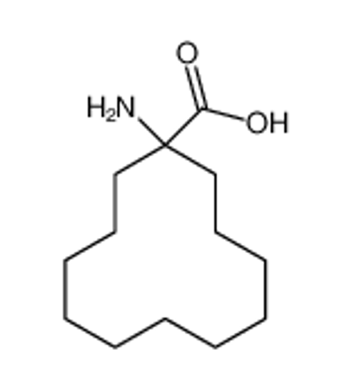 Picture of 1-aminocyclododecane-1-carboxylic acid