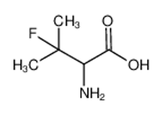 Imagem de 2-amino-3-fluoro-3-methylbutanoic acid