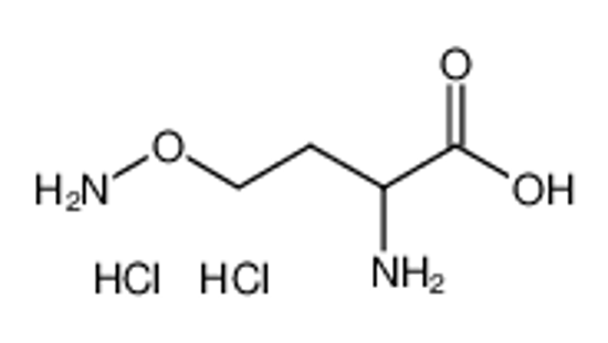 Picture of 2-amino-4-aminooxybutanoic acid,dihydrochloride