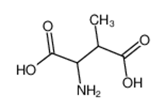 Picture of 3-Methylaspartic acid