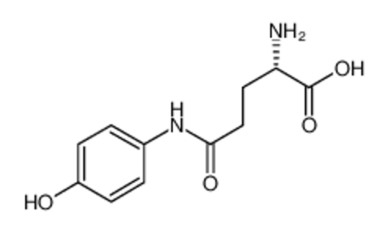 Picture of N5-(4-hydroxyphenyl)-L-glutamine
