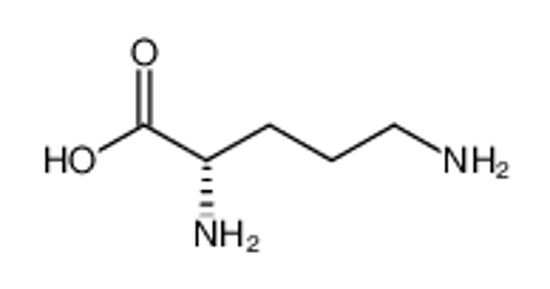 Picture of POLY-L-ORNITHINE HYDROBROMIDE