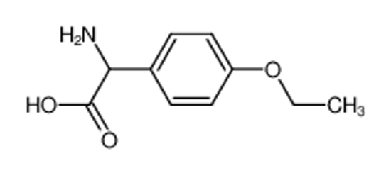 Изображение 2-amino-2-(4-ethoxyphenyl)acetic acid