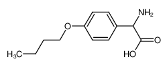 Изображение 2-amino-2-(4-butoxyphenyl)acetic acid