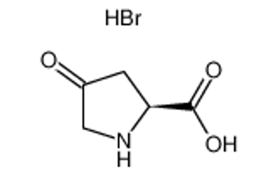 Изображение (2S)-4-oxopyrrolidine-2-carboxylic acid,hydrobromide