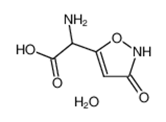 Изображение (‘±)-Ibotenic acid monohydrate