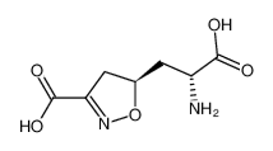 Изображение (R)-5-((R)-2-AMINO-2-CARBOXYETHYL)-4,5-DIHYDROISOXAZOLE-3-CARBOXYLIC ACID
