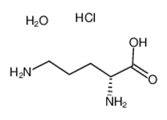 Picture of (2R)-2,5-diaminopentanoic acid,hydrate