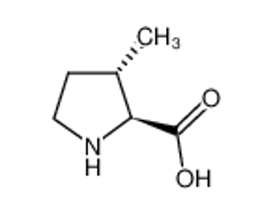 Picture of (2S,3S)-3-Methylpyrrolidine-2-carboxylic acid