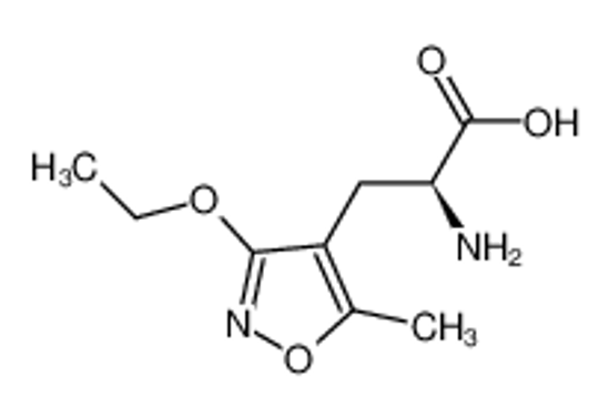 Picture of 4-Isoxazolepropanoicacid,α-amino-3-ethoxy-5-methyl-,(S)-(9CI)